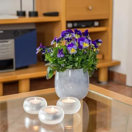 Appartement Reethaus-boddenblick-3-zi-fewo-10 *