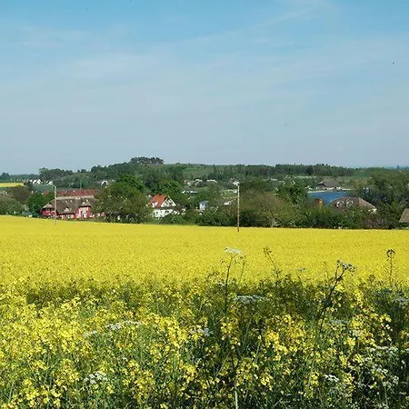 Appartement Reethaus-boddenblick-3-zi-fewo-10 Alt Reddevitz