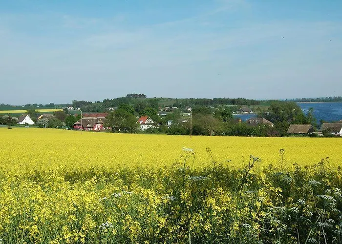 Lägenhet Reethaus-boddenblick-3-zi-fewo-10 Alt Reddevitz
